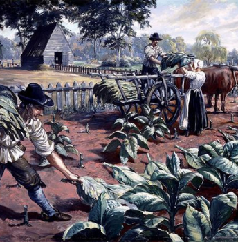 tobacco in early america Tobacco Growing in Early America – Mr Snuff tobacco in early america Tobacco Growing in Early America – Mr Snuff