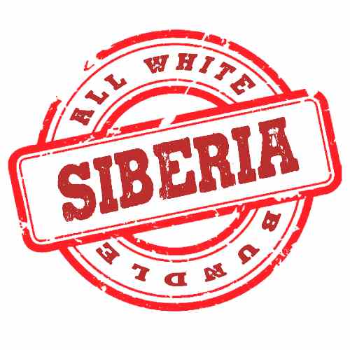 Siberia All White