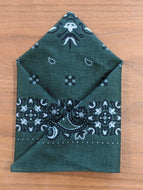 Green with Black and White Paisley Handkerchief