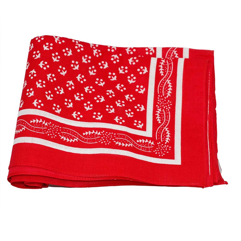 Pattern Handkerchief: Red